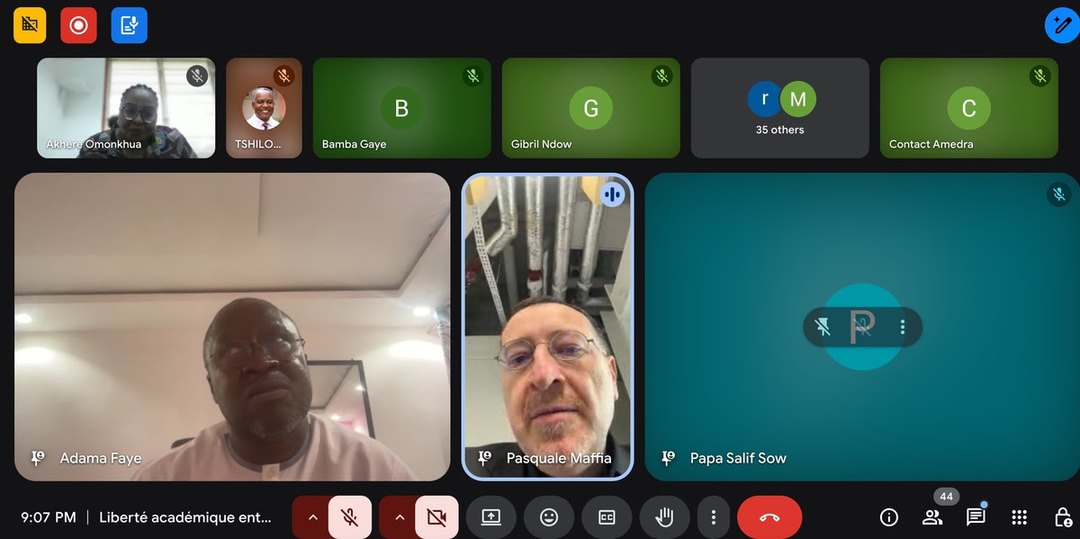 Participants on the video call during the webinar